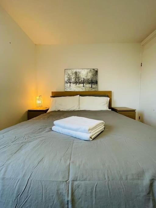 Lovely Duplex Apartment In Edinburgh City Centre Luaran gambar